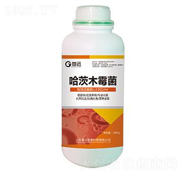 哈茨木霉菌-蒼遠(yuǎn)生物