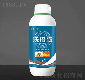 果蔬茄果增產葉面肥-沃倍膨-賽爾豐農
