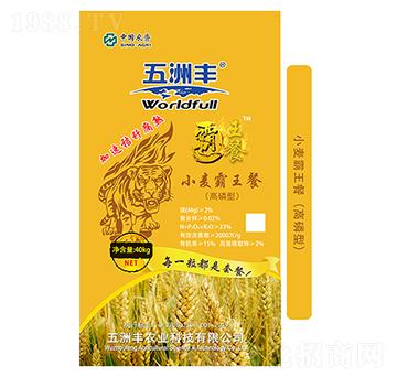 ������С��������-�����S