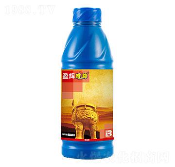 20�|PIBÿ��������x(ch��ng)���Ͷ���w������1000g��-Ψ��-ӯ�x