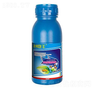 5%���S�����x(ch��ng)����300g��-ӯ�x����-ӯ�x