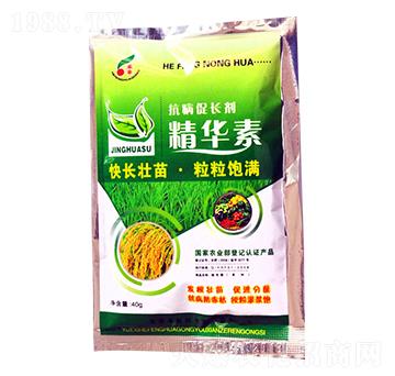 抗病促長(zhǎng)劑精華素-禾豐