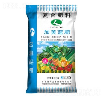 �����{�ʏͺϷ���16-0-10-������