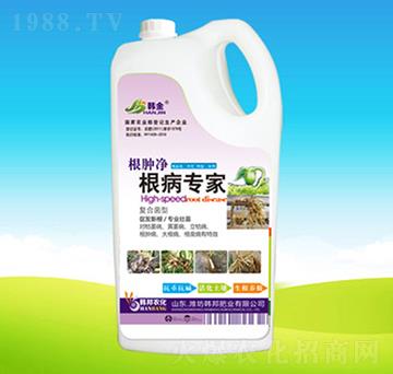 ��������-�n��ʘI(y��)