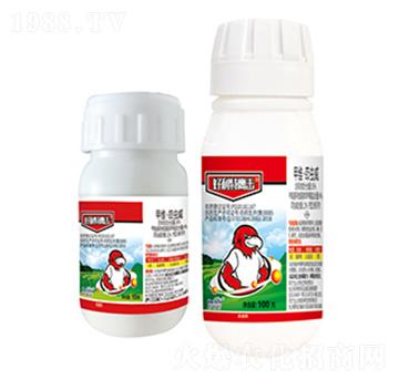 16%�׾S�����x��-����������-����������