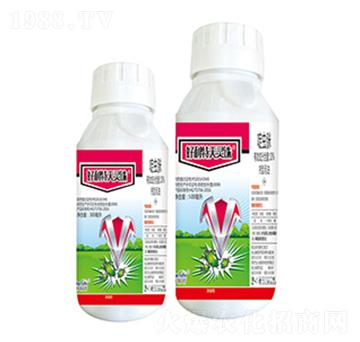 10��x��-���������`�D-����������