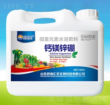 �}�V�\��-�ĺ��R�r