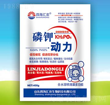 ��⛄���-�ĺ��R�r