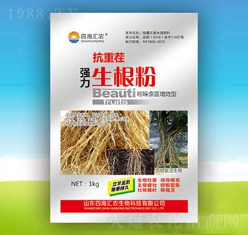 ���ز珊��������-�ĺ��R�r