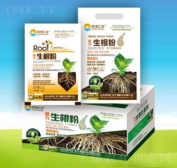 ����������-�ĺ��R�r