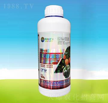 �ٳ�����n��������(zhu��n)��-�ĺ��R�r(n��ng)