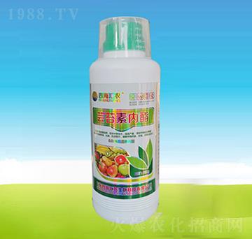 �|̦�؃�(n��i)��-�ĺ��R�r(n��ng)