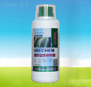 ���F�i�\��}�V-�ĺ��R�r