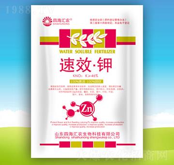 �-�ĺ��R�r