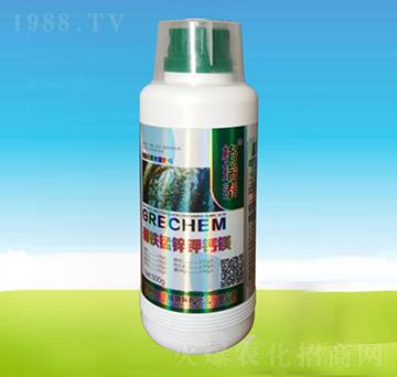 ���F�i�\��}�V-�ĺ��R�r