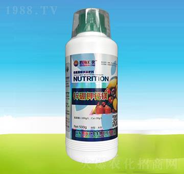 �\����}�V-�ĺ��R�r