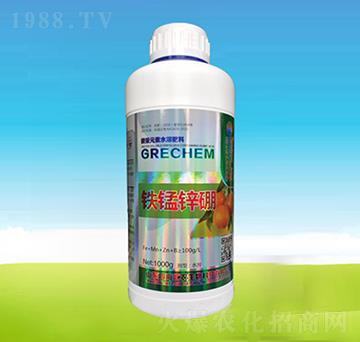 �F�i�\��-�ĺ��R�r