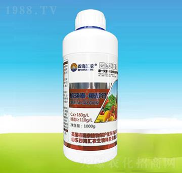 ����̩���Ǵ��}-�ĺ��R�r