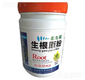 ����ԭ��-�����r�I(y��)