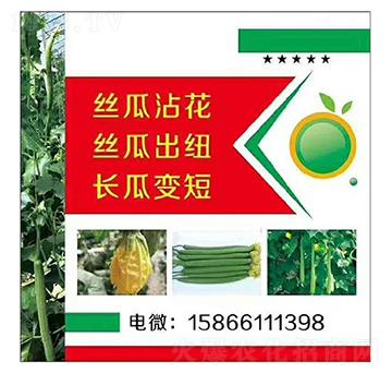 �z�����L��մ��׃�̳��~-�����r(n��ng)�I(y��)