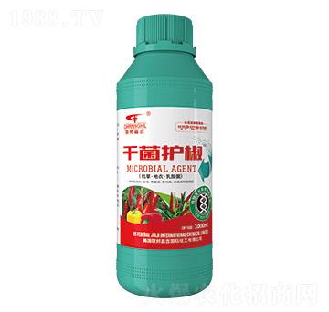 枯草·地衣·乳酸菌-千菌護椒-聯(lián)邦嘉吉