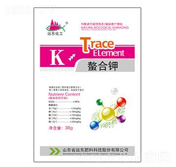 �����-�h�|����