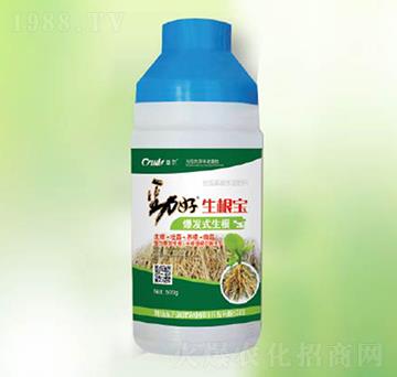 ������-�|����(r��n)��