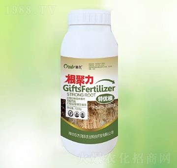 ������-�|����(r��n)��