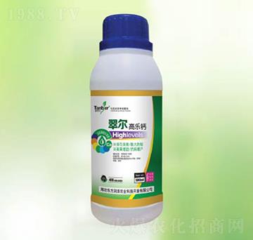 �䠖�ߘ��}-�|������