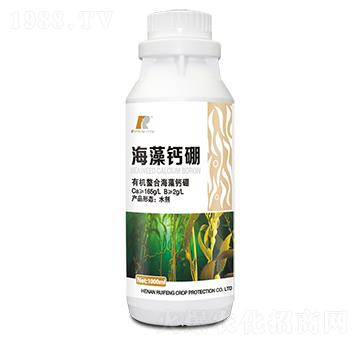 �����}��-�J�S����