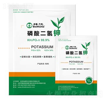 ��������-����