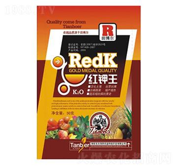 �t����~���-�|������