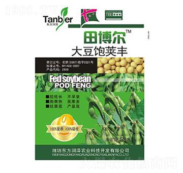 大豆飽滿莢豐-東方潤澤