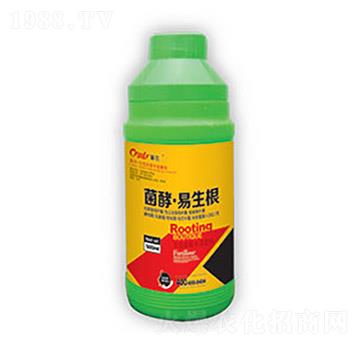 ���͡�������-�|������