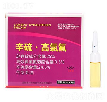 25%���򡤸��ȷ�-���ְ���