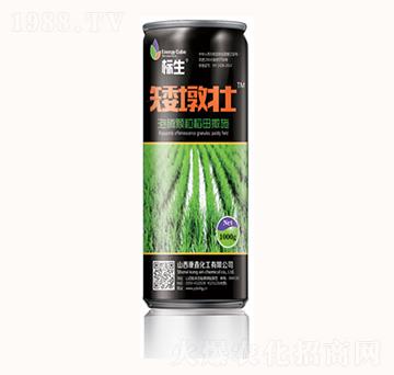 ���Չ�-��(bi��o)��-���λ���