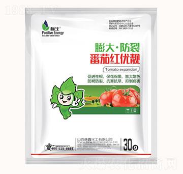 ���������Ѽt��(y��u)�n-���λ���