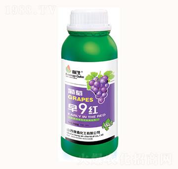 葡萄早9紅-康鑫化工