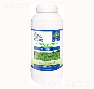 1000g普洱茶王-康鑫化工