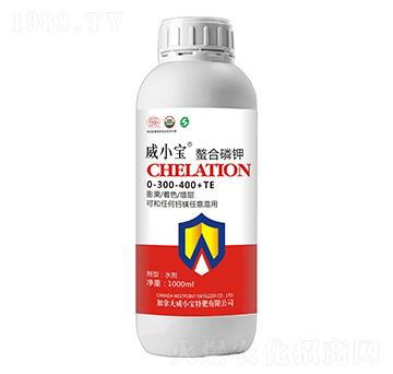 �������-��С��-��巉�(m��ng)