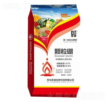 �w���� ���P����