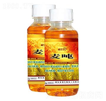 ���� ֲ���� �R������