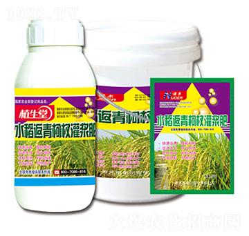 ˮ��������{�� ֲ���� �R������