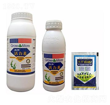 �S�������� �S������