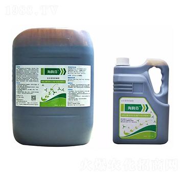 ������ �S������