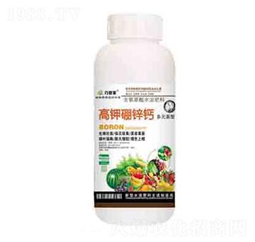 ������\�} ����