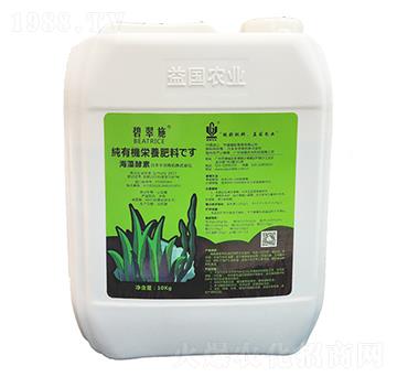 �̴�ʩ���ձ�������� ���(gu��)�r(n��ng)�I(y��)