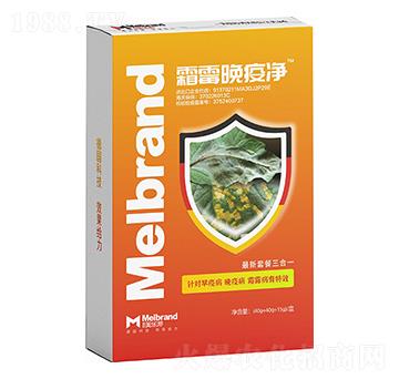 ˪ù���߃� ������