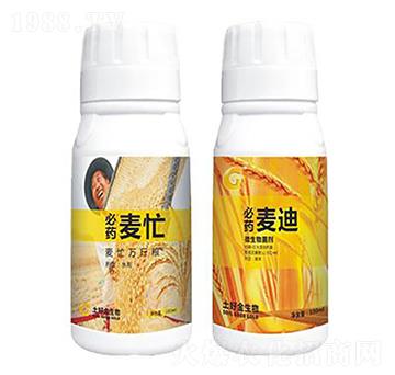 ����+��æ ���ý�