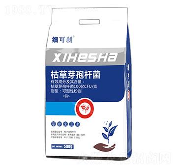 500g��(x��)�Ʉx ���ý�